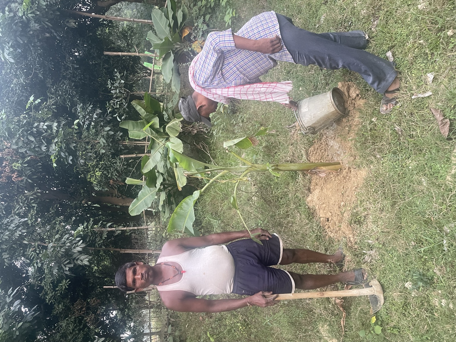 Our team planting saplings in the orchard