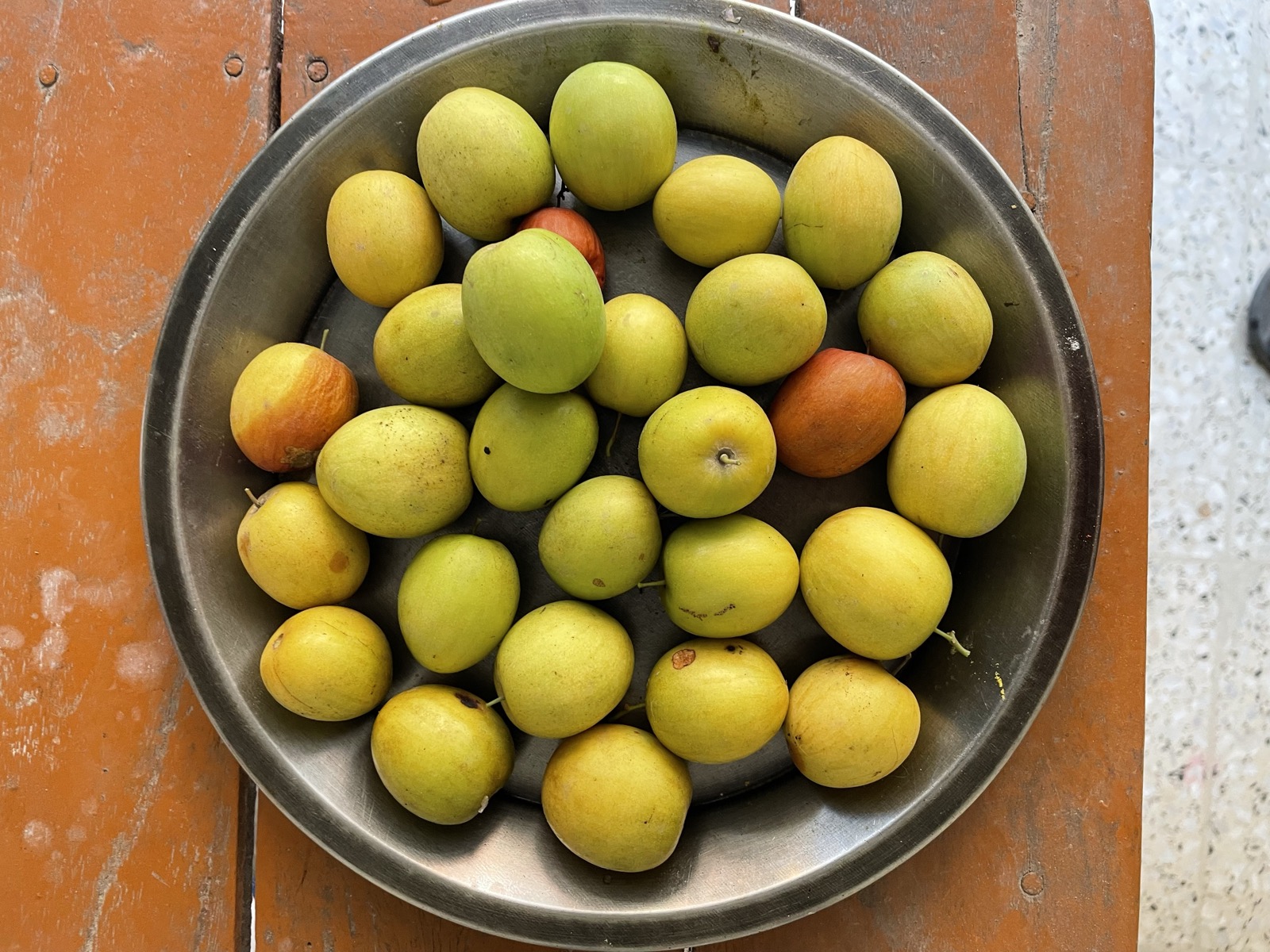 A bowl of farm-grown ber (Indian jujube)